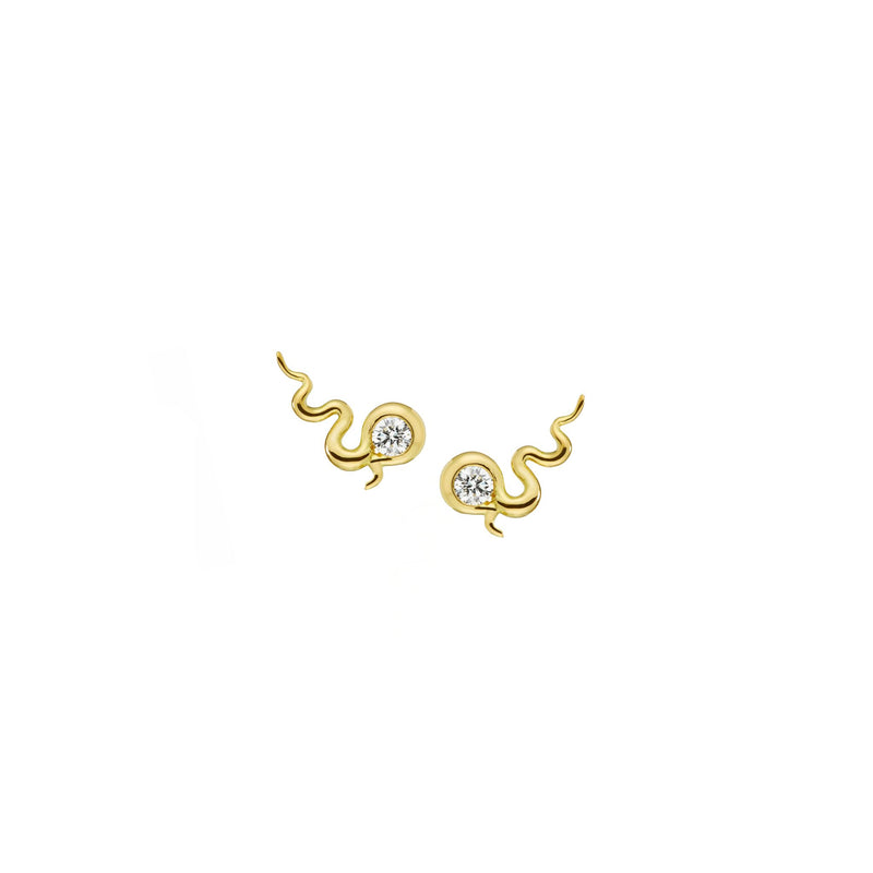 Road Map Diamond Stud Earrings Pair