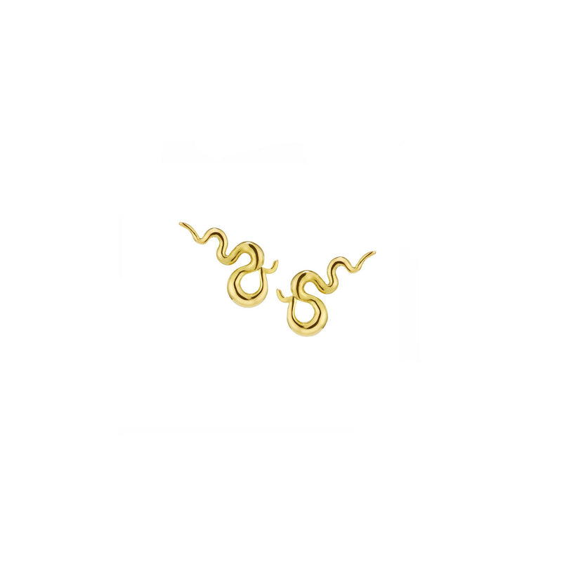 Road Map Stud Earrings Pair